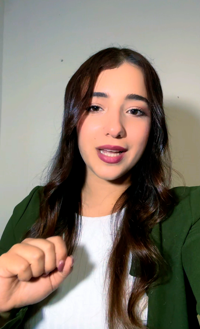 Vista previa del programa